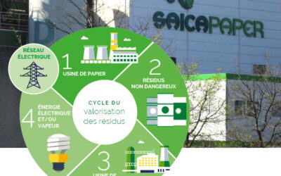 ENVIRONNEMENT : LES PAPETIERS MULTIPLIENT LES INVESTISSEMENTS «BIOMASSE» POUR RÉDUIRE LEURS EMPREINTE CARBONNE