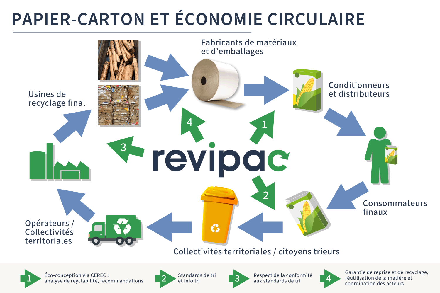 Illustration de l'économie circulaire filière papier-carton