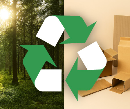 Economie circulaire Photo : gobelet carton